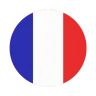 French flag icon