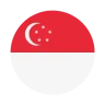 Singapore flag icon